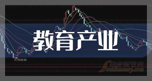 盘点 教育产业上市龙头股票名单合集 2024 11 25